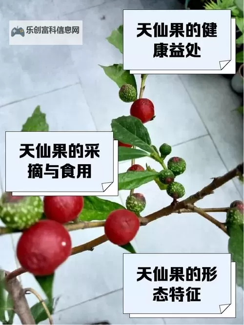 神话十大仙果仙草:传说中的奇幻仙境与神奇植物图1