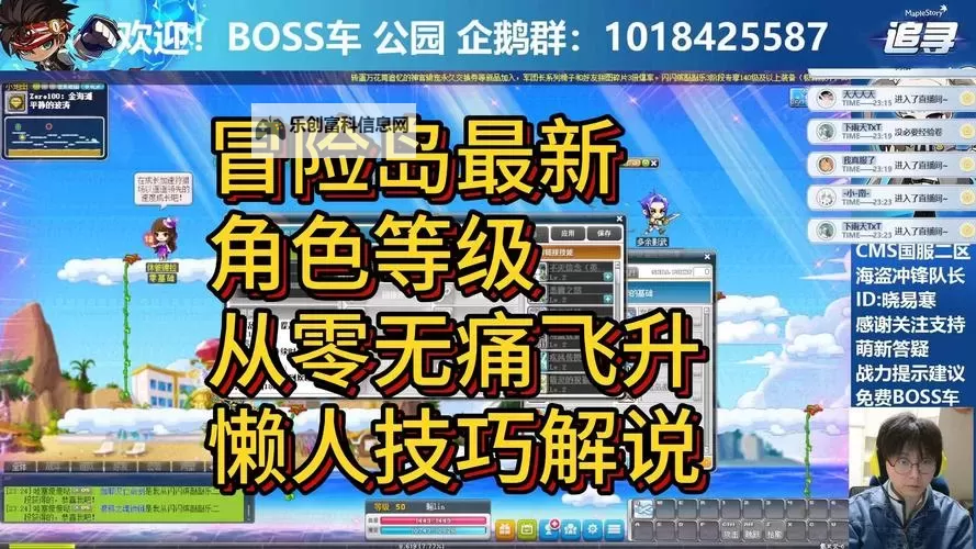 全面指南:如何高效使用冒险岛079代码查询器图2