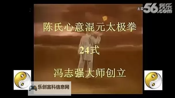 道云龙混元24式背面解析与动作要领图2
