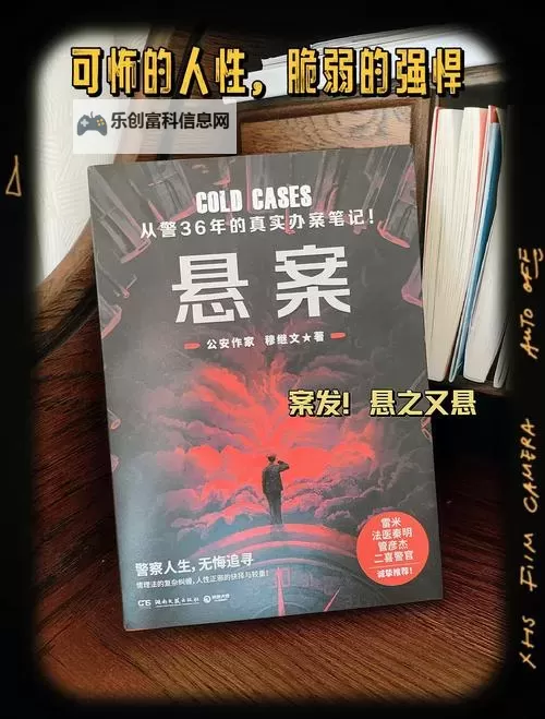 《揭秘热血无赖隐藏事件:暗藏的真相与未解之谜》图2