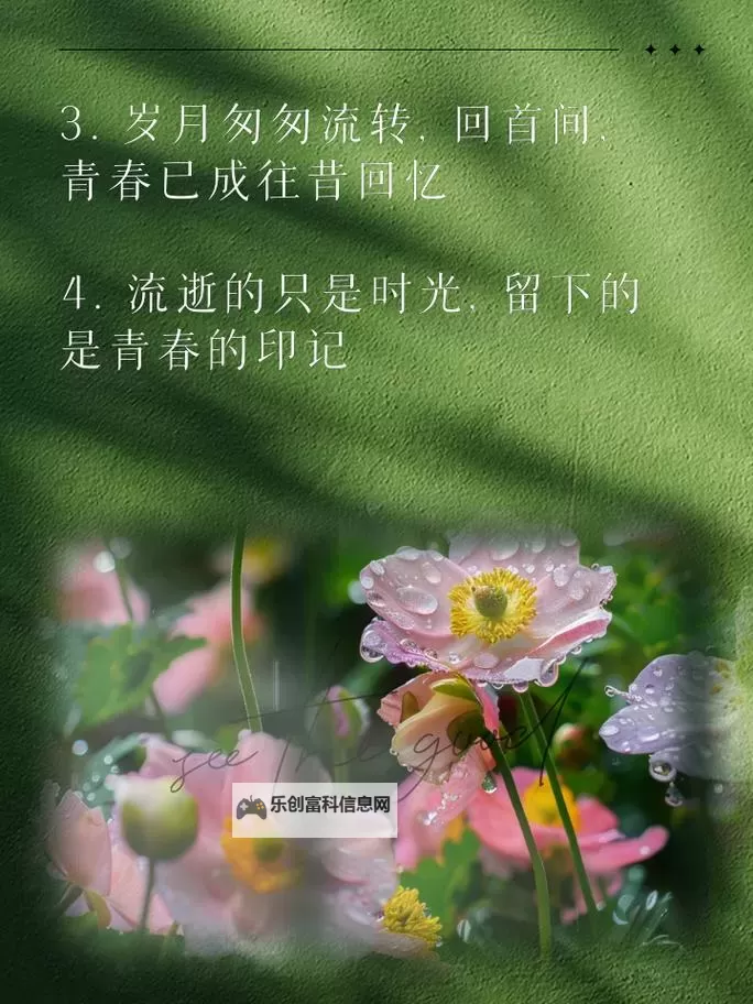 丁香六月情:那些年我们的青春印记图1