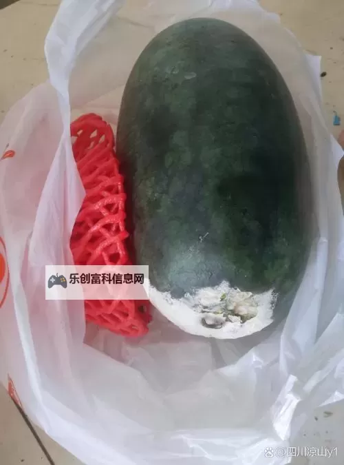 长垣黑料网曝光:国产长垣瓜的内幕揭秘图1