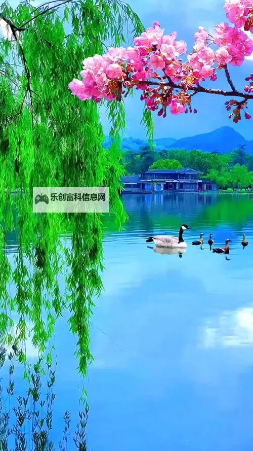 剑灵雷系职业全面解析:技能特点与战斗策略图2