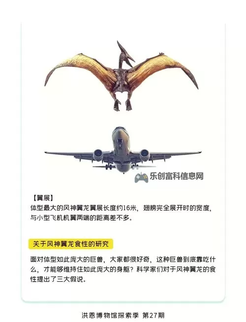 风神翼龙与古神翼龙的区别解析:特征与演化差异图1