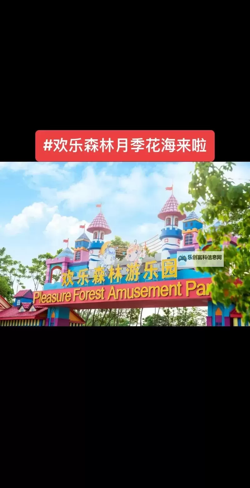 探索欢乐无限:深入了解五月丁香综合娱乐的精彩世界图2