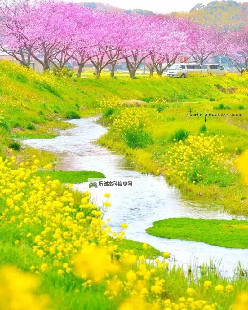 四虎快播紧急入口在线观看:安全可靠的在线播放指南图1