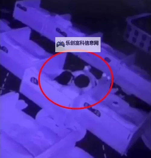 最新曝料：又打扑克不盖被子的视频引发热议图1