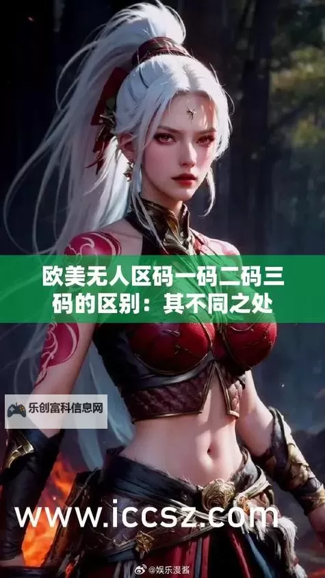 精品无人区码一码二码三码区别解析与在实际应用中的意义图1