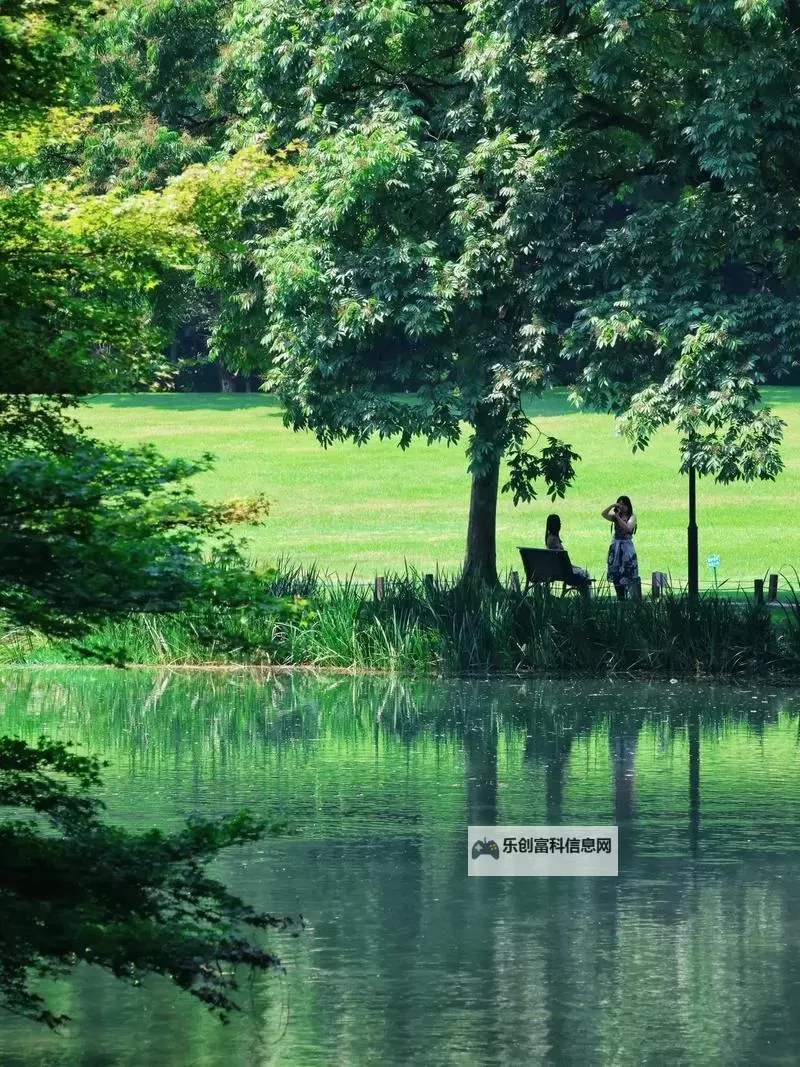 剑灵雷系职业全面解析:技能特点与战斗策略图1