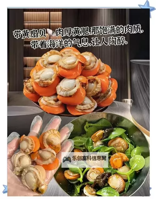 在把腿张大点我就可以吃到扇贝了的奇趣海洋冒险图1