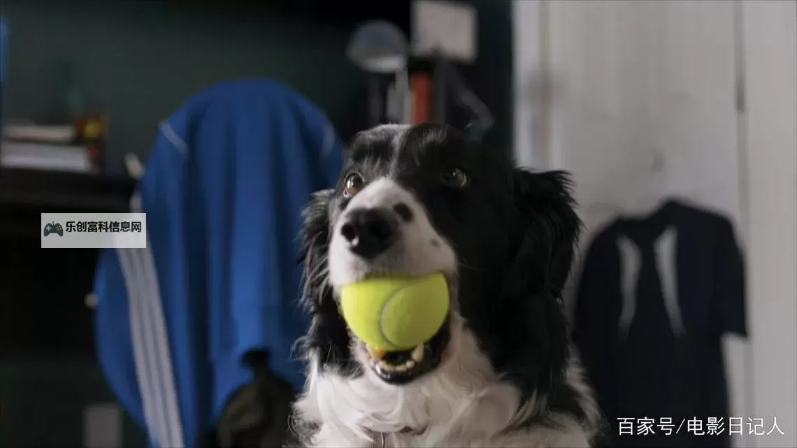 人狗大战2观看的收费情况解析:免费观看还是付费推荐?图1