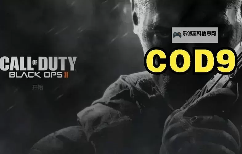 如何正确输入使命召唤9秘籍：详细教程图1