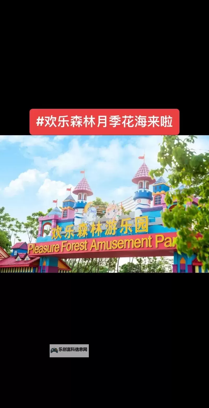 探索欢乐无限:深入了解五月丁香综合娱乐的精彩世界图1