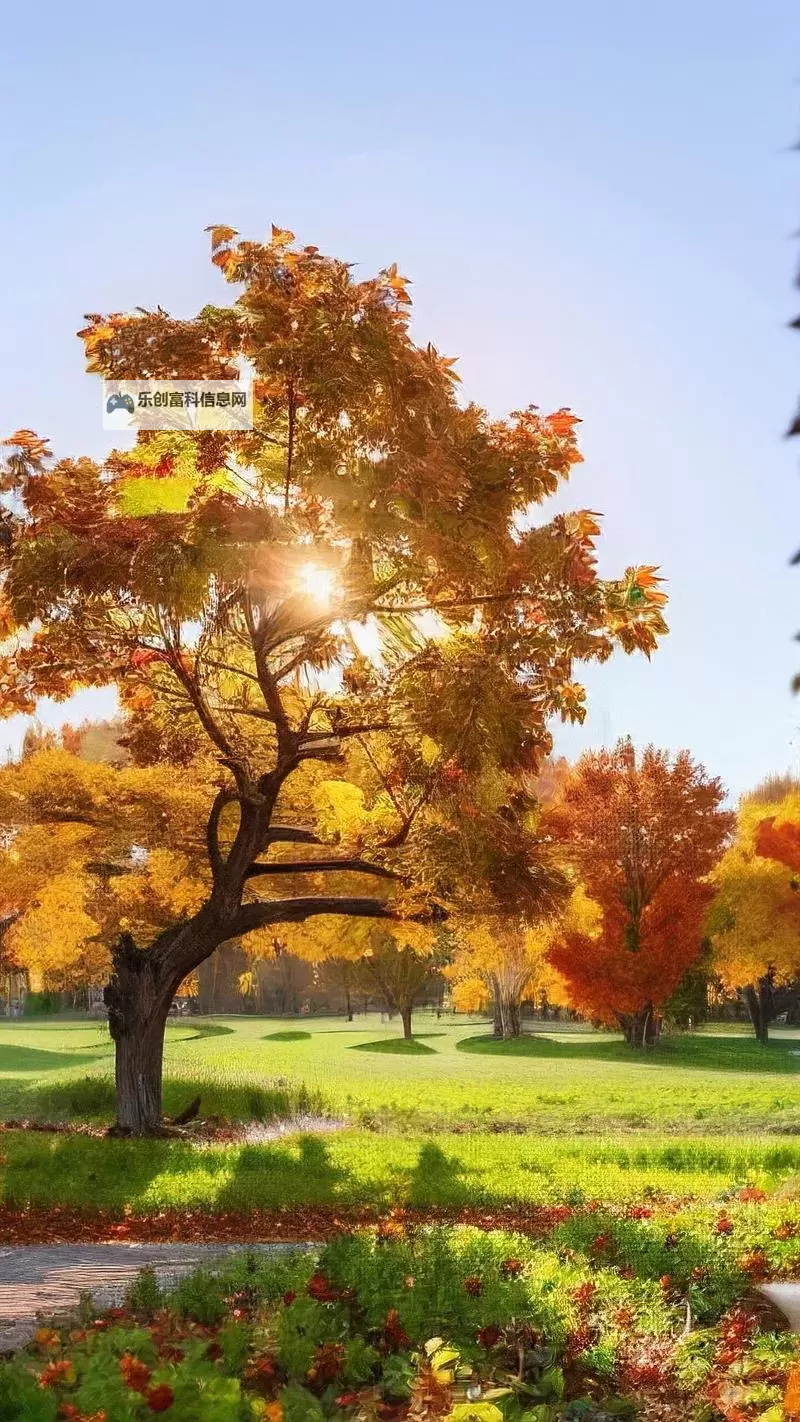 探索全新娱乐体验：X8X8拨牐拨牐X8免费视频8文字全解析图2