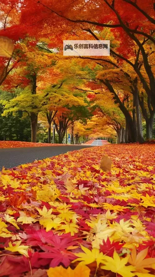 探索全新娱乐体验：X8X8拨牐拨牐X8免费视频8文字全解析图1