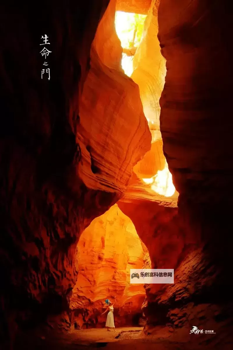 穿越时光的奇迹：我如何撞进妈妈的生命之门图1