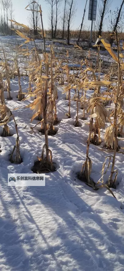 大都督双开挂机软件推荐  怎么双开大都督详细图文教程图2