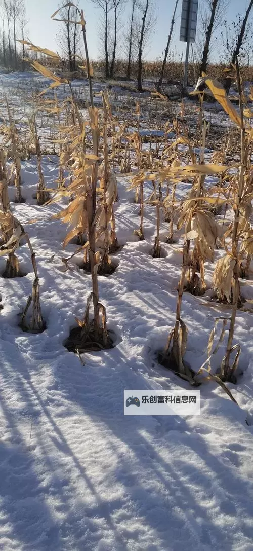大都督双开挂机软件推荐  怎么双开大都督详细图文教程图1