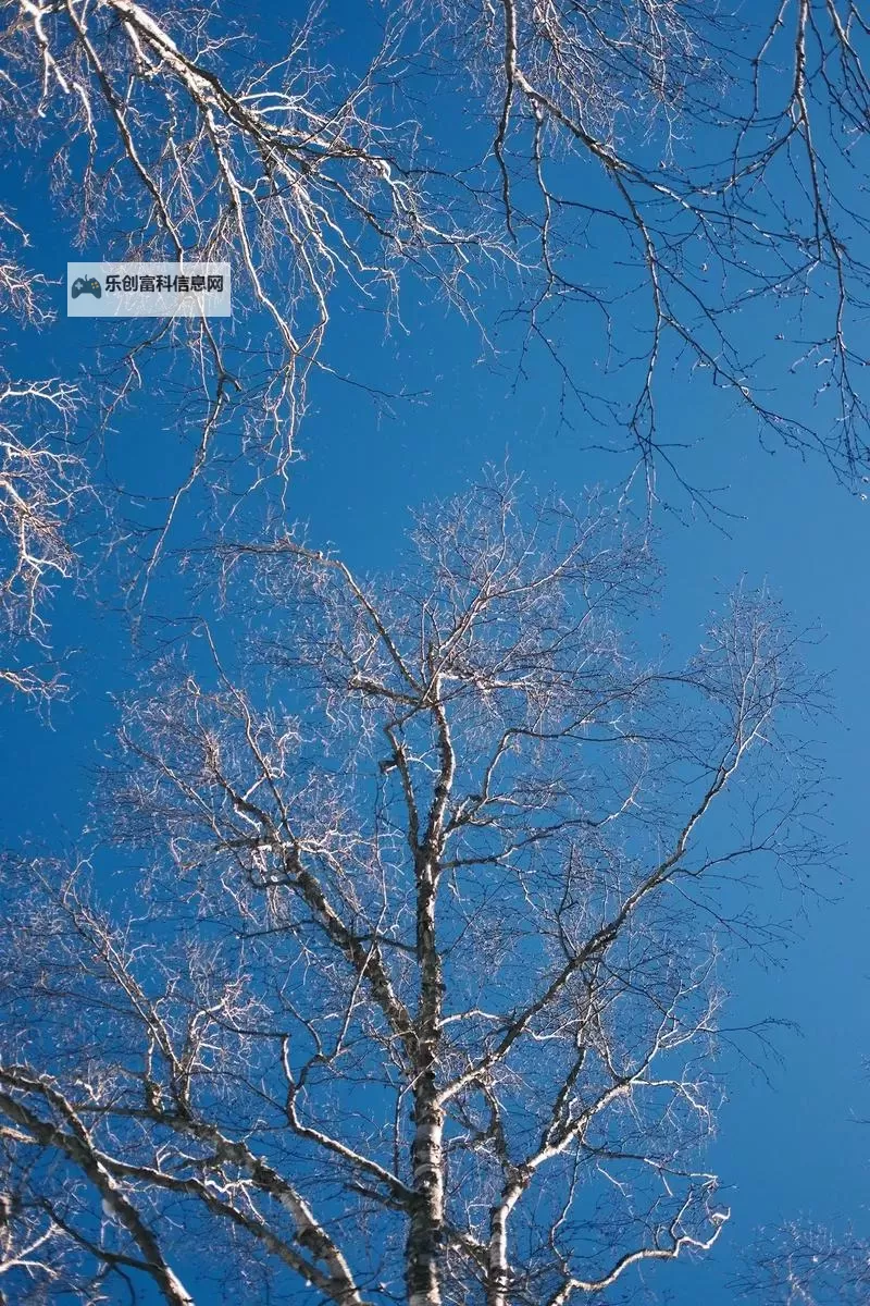 大都督双开挂机软件推荐  怎么双开大都督详细图文教程图1