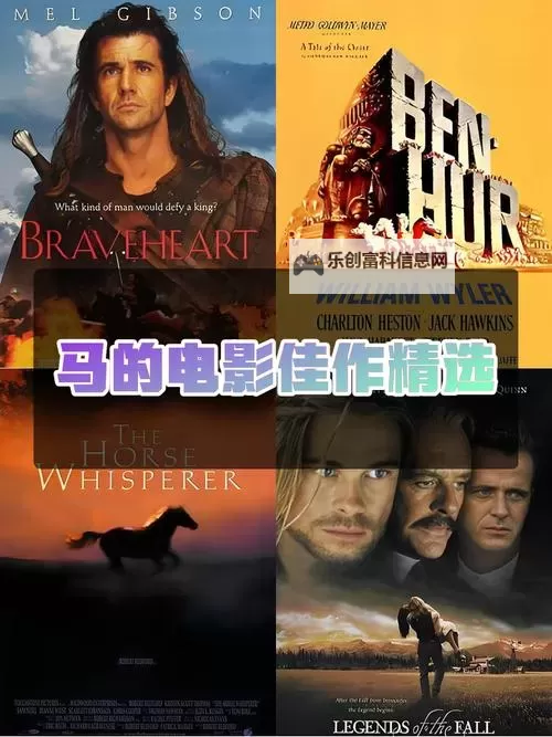 探索最新的Zoom动物马电影：精彩瞬间与幕后揭秘图1