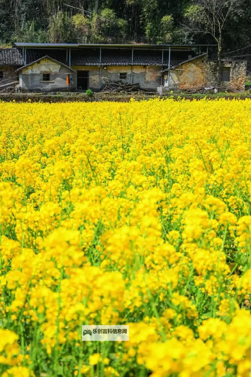 废土2 强制修理罗迪亚电塔小技巧图1