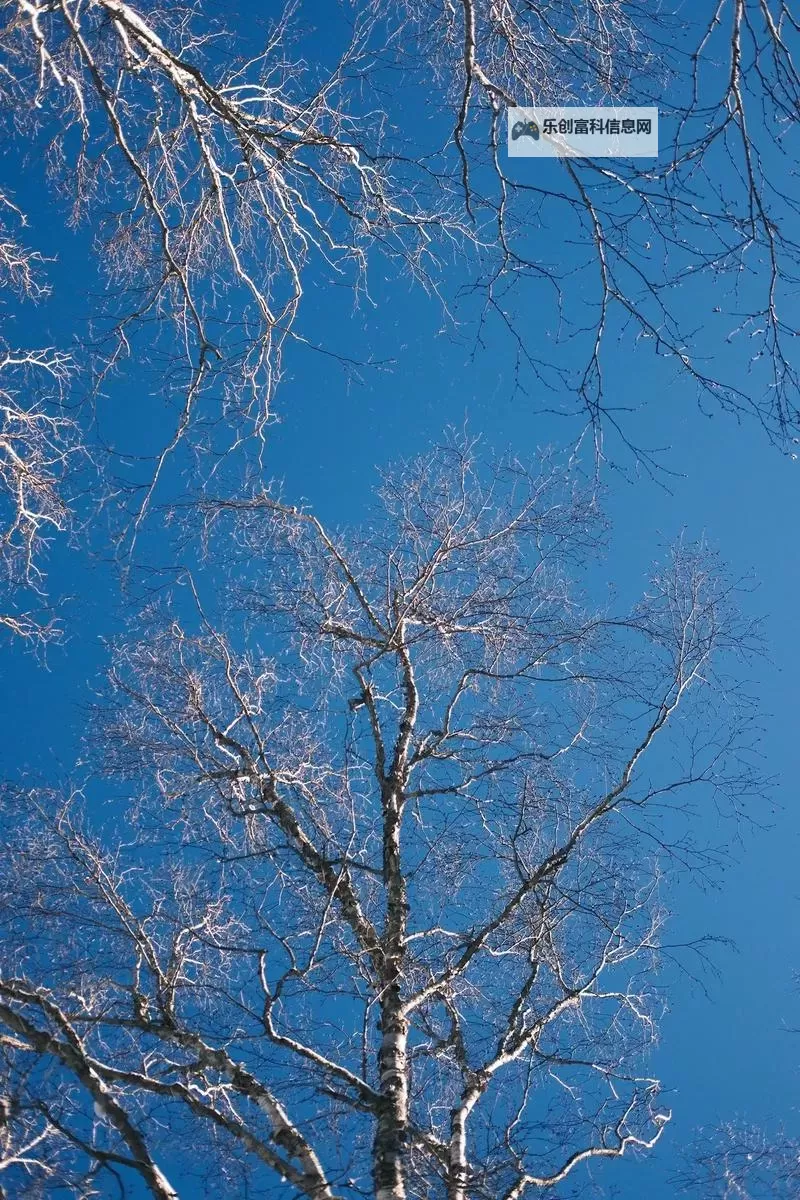 大都督双开挂机软件推荐  怎么双开大都督详细图文教程图2