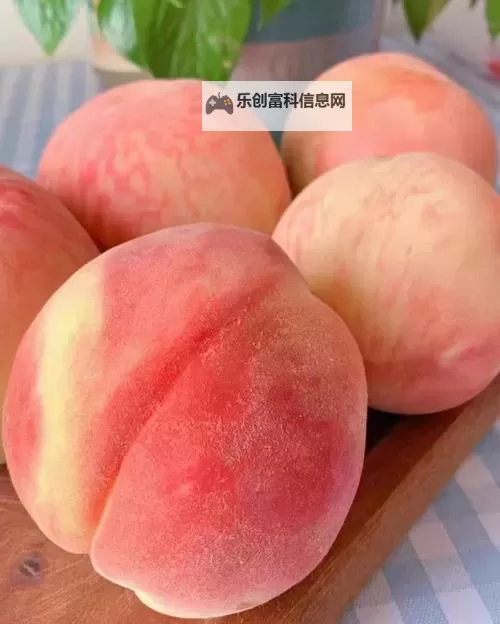 蜜桃视频桃色tv：探索精彩内容的新体验图1