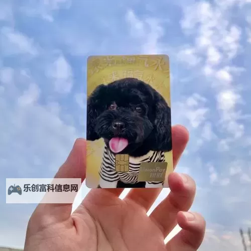 轻松开启体验：如何快速打开免费1级毛卡片图1