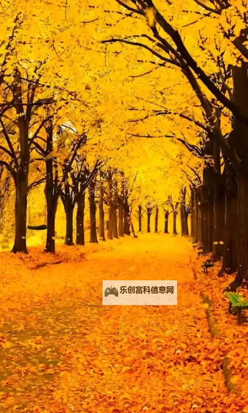 《勇者斗恶龙英雄2》小金币获得方法及兑换道具一览 小金币怎么获得图1