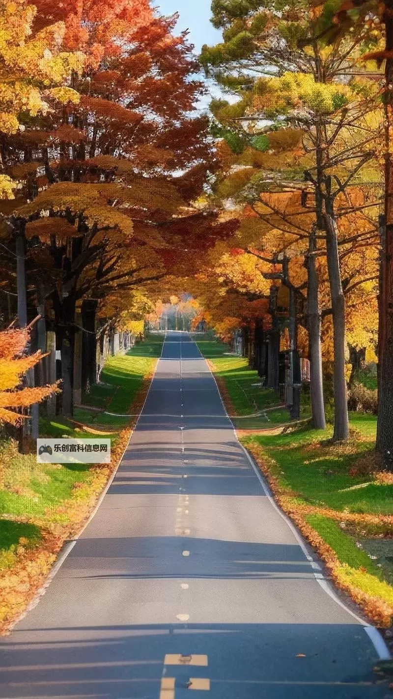 《勇者斗恶龙英雄2》小金币获得方法及兑换道具一览 小金币怎么获得图1