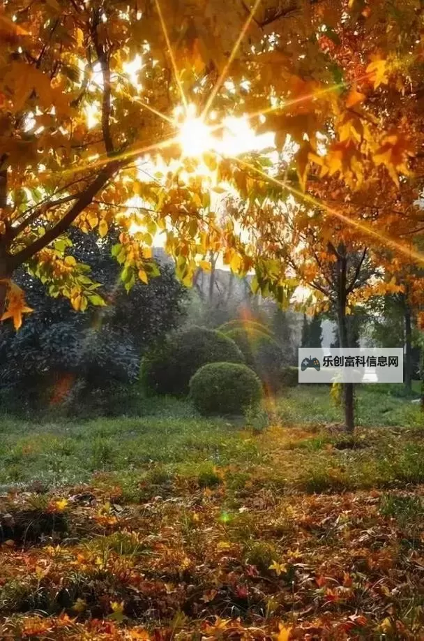 《勇者斗恶龙英雄2》小金币获得方法及兑换道具一览 小金币怎么获得图2