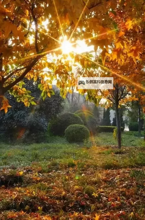 《勇者斗恶龙英雄2》小金币获得方法及兑换道具一览 小金币怎么获得图2