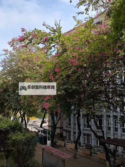 长篇连载:校园春色韵事的青春纪事图1