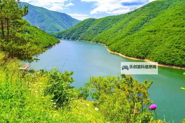 白白发布免费视频：2025最新合集抢先看图1