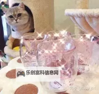 坐在上面摇是一种什么体验知乎:从好奇到实践的全方位解读图1