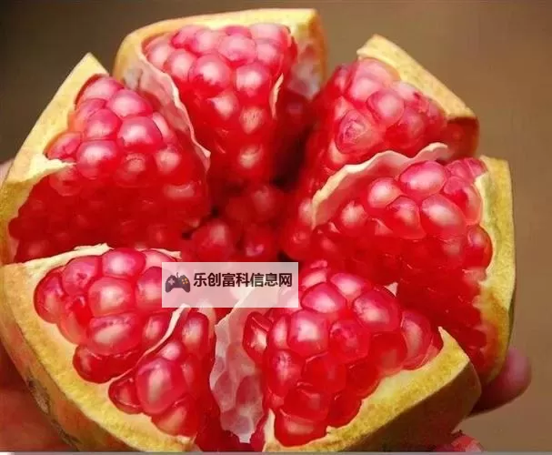 玉杵入牦户天下一奇吃桔带皮:风雪边疆的味觉传说图1