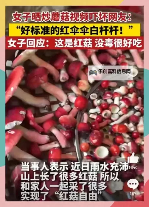 蘑菇视频在线:揭开菌菇世界的生长奥秘图1