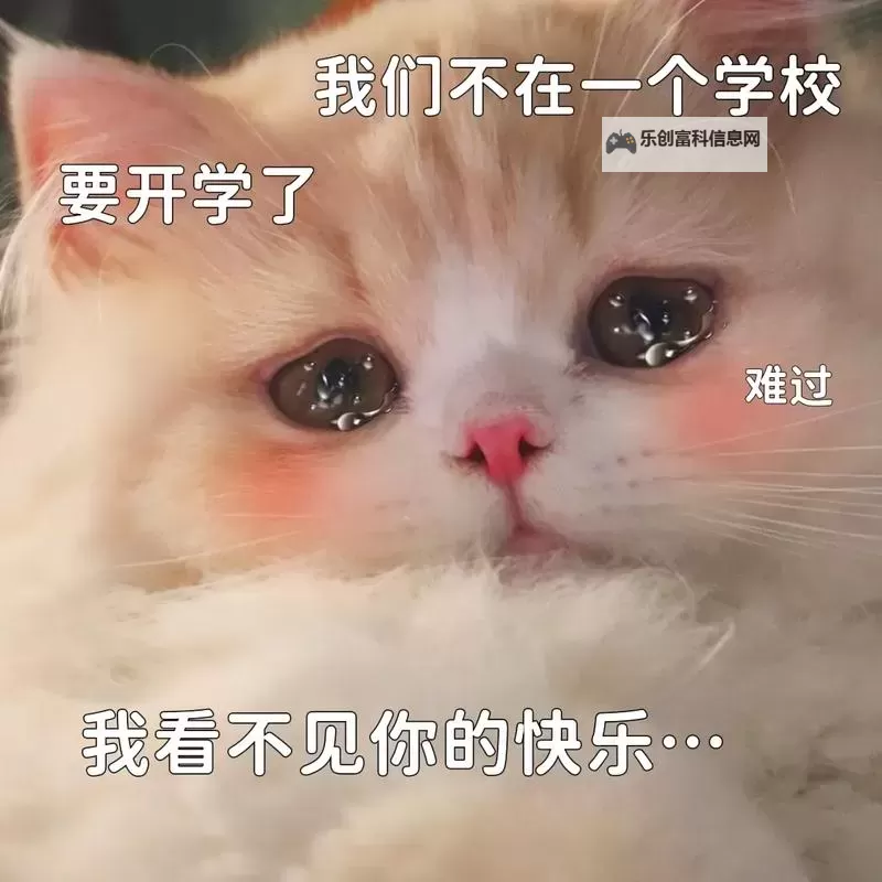 校园灯影下的告白:早就想在学校要你了图1