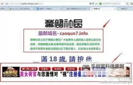 Caoliu社区2017地址一:回顾与解读网络社区演变的一个节点图1
