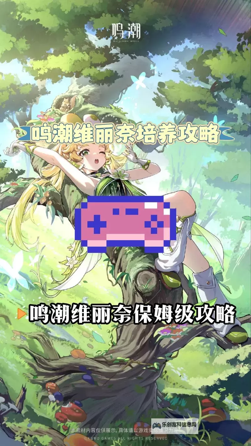 《鸣潮》维里奈养成一图流 维里奈怎么培养图1