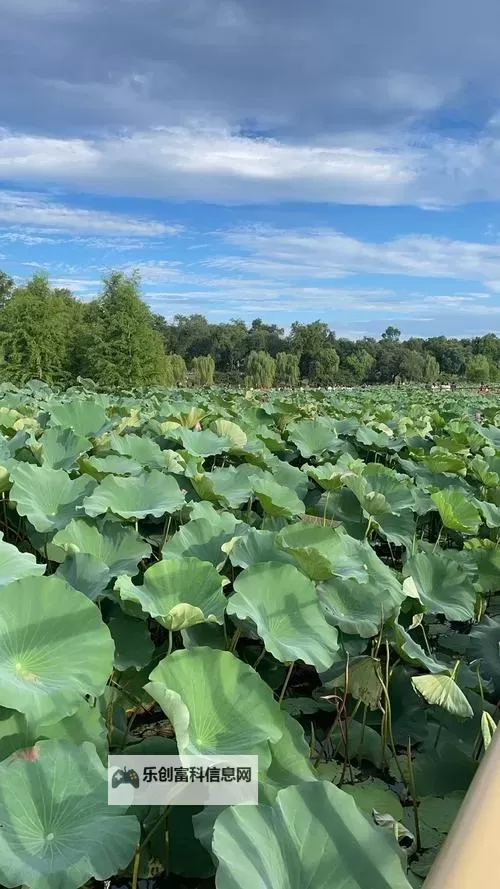 荣耀战国双开神器 轻松一键搞定荣耀战国挂机双开图1